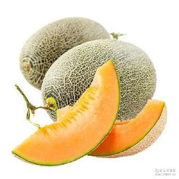 哈密瓜蓉產(chǎn)品綜合指南 價格、型號、圖片及預包裝食品批發(fā)與零售服務(wù)